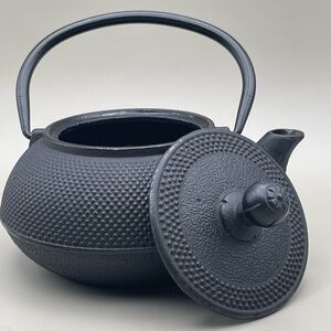 Black Enamel Lined Cast Iron Tea Kettle | Hobnail Japanese Style Teapot